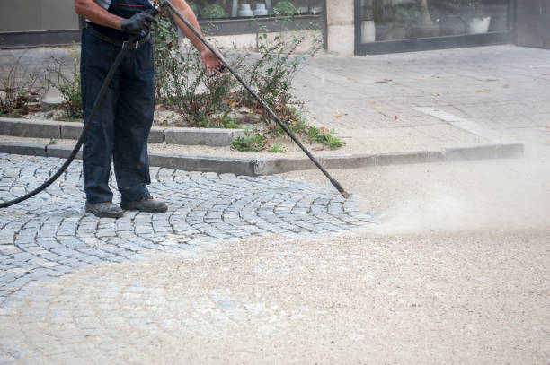 Best Window and Screen Pressure Cleaning in Rohnert Park, CA