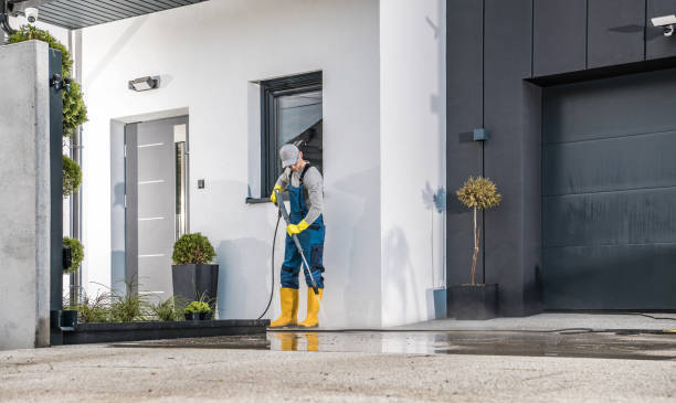 Best Graffiti Removal Services in Rohnert Park, CA